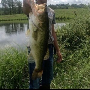 Meet your Posher, Connor